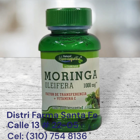 MORINGA X 100 CAPSULAS