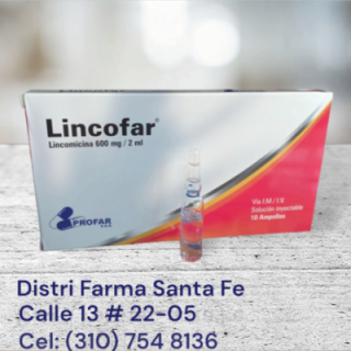 LINCOFAR 600MG X 10 AMPOLLAS (LINCOMICINA)