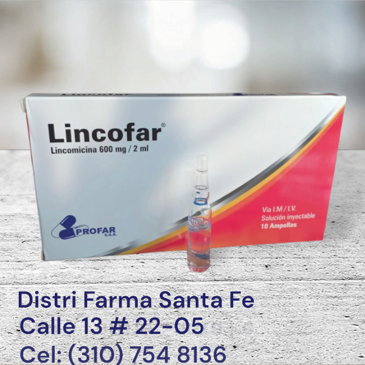 LINCOFAR 600MG X 10 AMPOLLAS (LINCOMICINA)