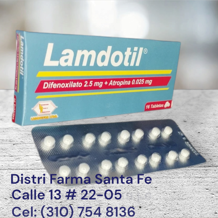 LAMDOTIL X 16 TABLETAS