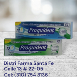 PROQUIDENT CREMA ADHESIVA DENTAL X 40GR