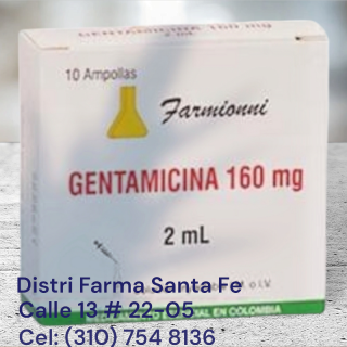 GENTAMICINA FARMIONNI 160MG X 10 AMPOLLAS