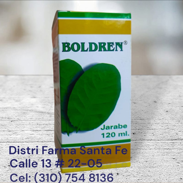BOLDREN JARABE X 120ML