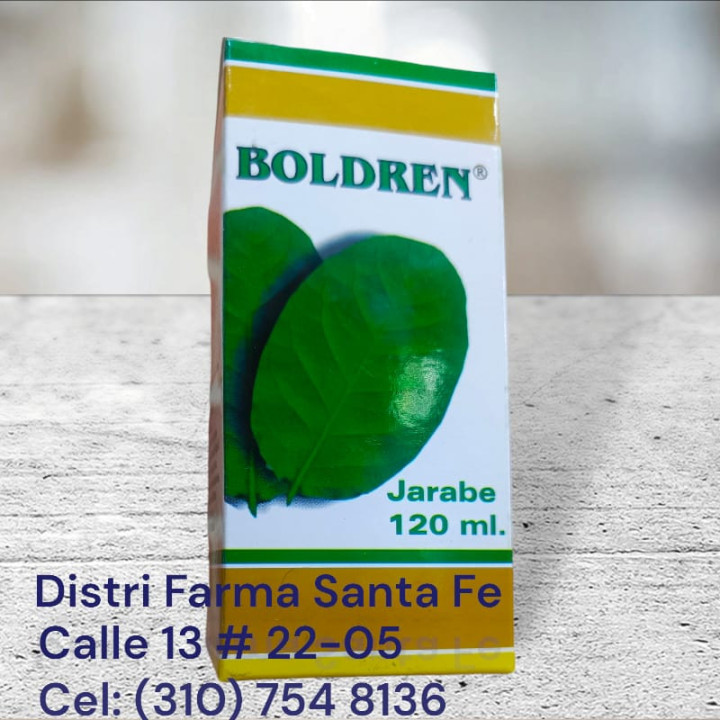 BOLDREN JARABE X 120ML