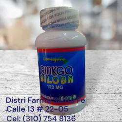 GINKGO BILOBA 120MG X 60 CAPSULAS (FRASCO)