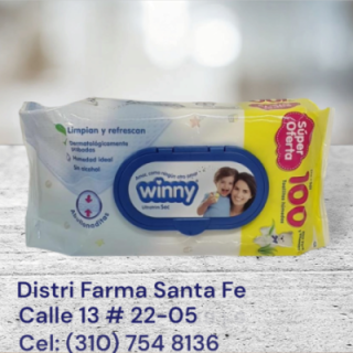 TOALLITAS WINNY X 100 UNIDADES (IVA) (TQ)