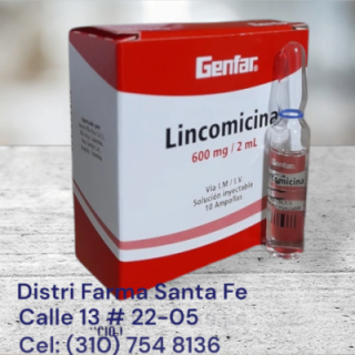 LINCOMICINA GENFAR 600 MGX 10 AMPOLLAS